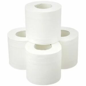 2-Ply Toilet Paper Rolls